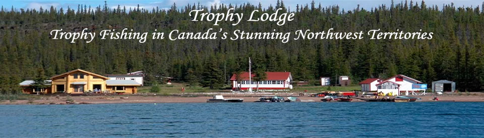 Logo - Trophy Lodge NWT