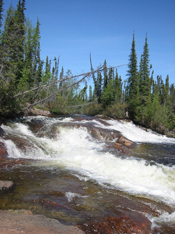 River Rapids